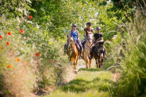  Grand Régional de Tourisme Equestre en Pays de la Loire